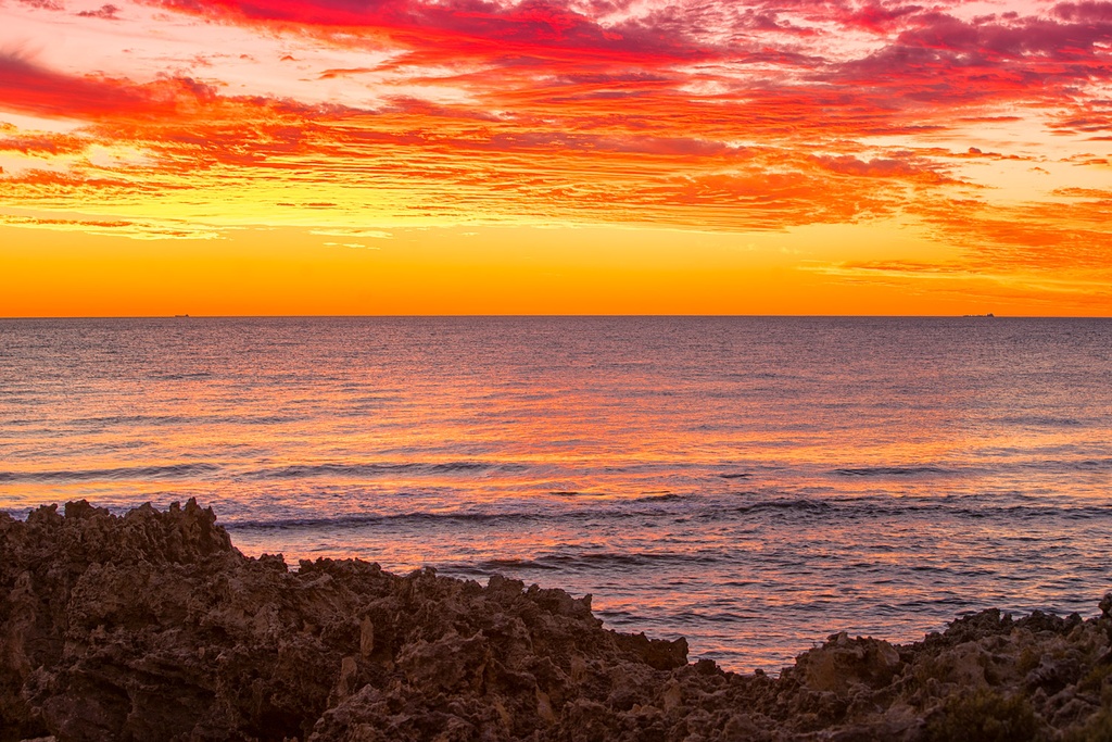 SUN0854 - Mettams Orange