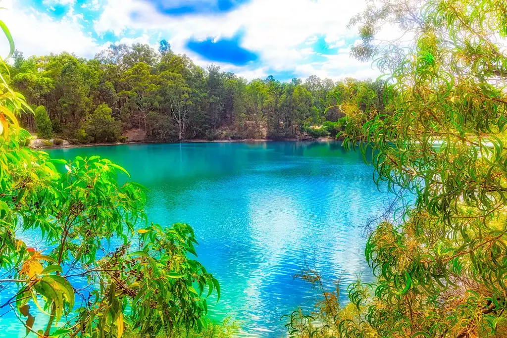 SUN0858 - Black Diamond Sneak (Fine Art Print - Rolled, 45cm x 30cm)