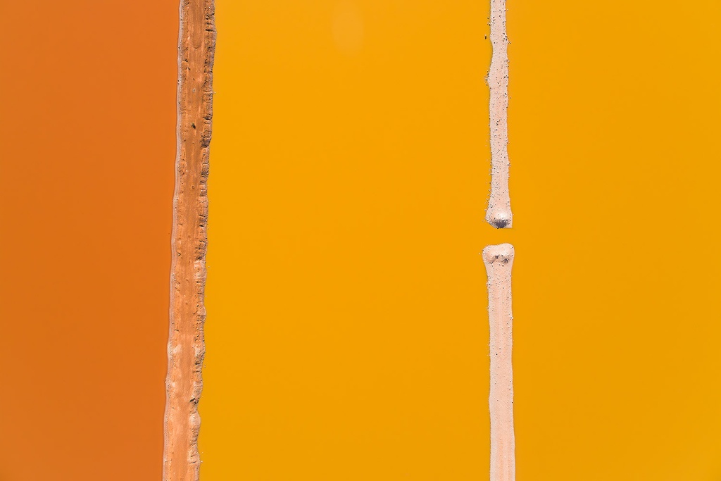 SUN0863 - Bone (Fine Art Print - Rolled, 45cm x 30cm)