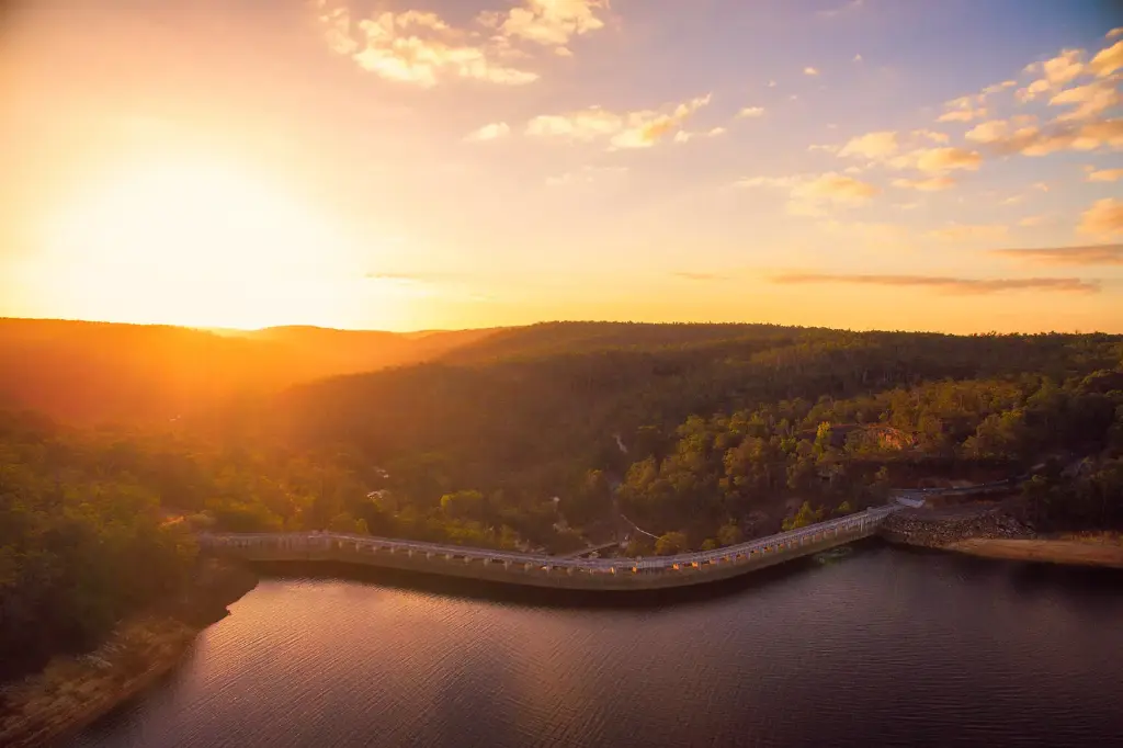 SUN0908 - Sunset Collie