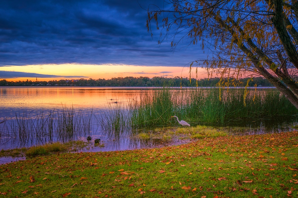 SUN0912 - Wildlife (Fine Art Print - Rolled, 45cm x 30cm)