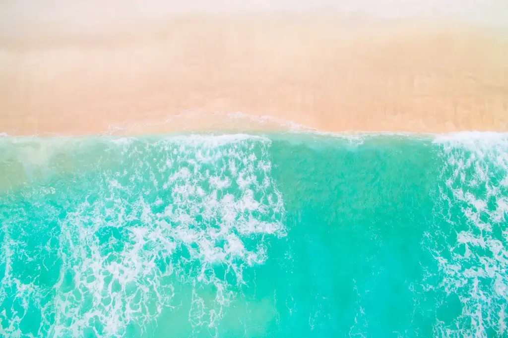 SUN0920 - Beach Days