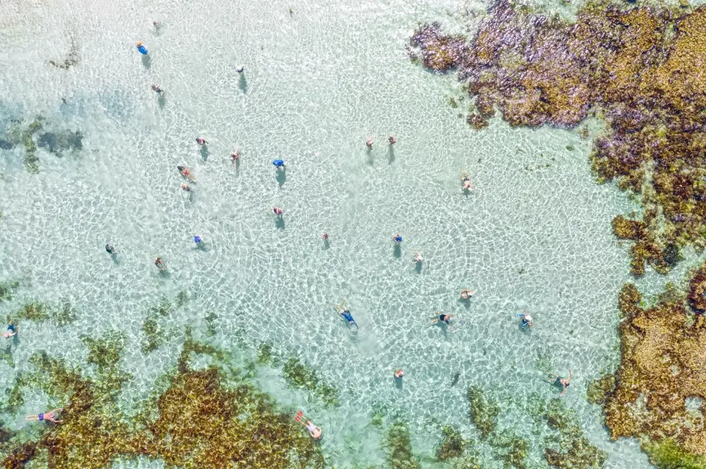 SUN0944 - Mettams Clear