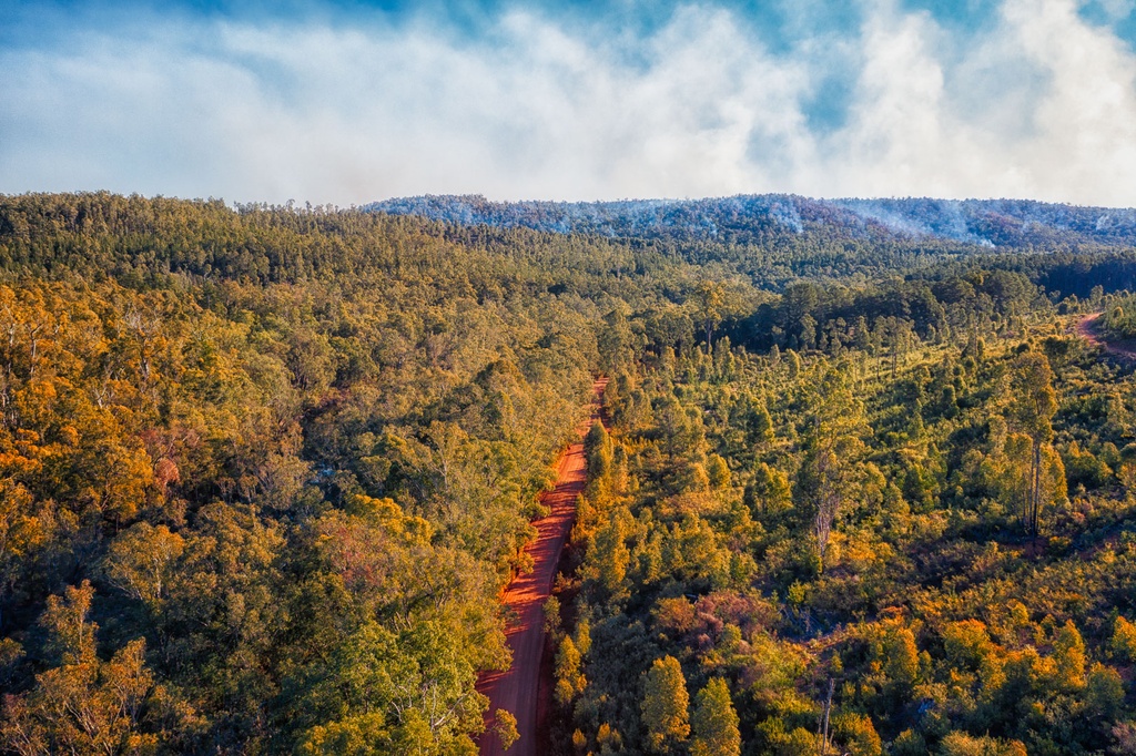 SUN0952 - Smokey Tracks (Fine Art Print - Rolled, 45cm x 30cm)