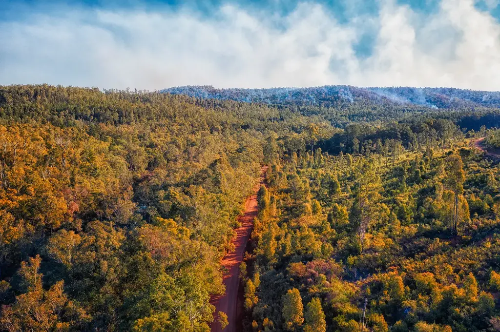 SUN0952 - Smokey Tracks