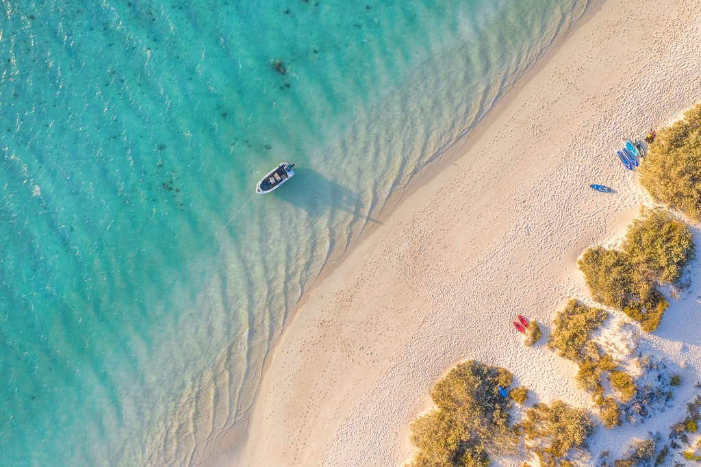 SUN0955 - Kool Kurrajong