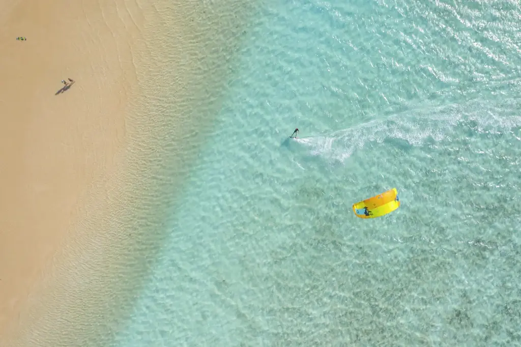 SUN0956 - Sandy Dice (Fine Art Print - Rolled, 45cm x 30cm)