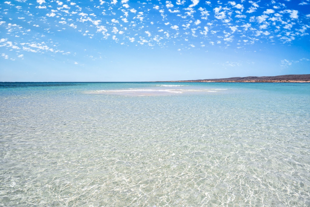 SUN0959 - Turquoise Clarity