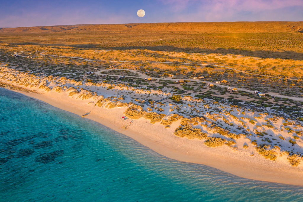 SUN0964 - Kurrajong Moonrise (Fine Art Print - Rolled, 45cm x 30cm)