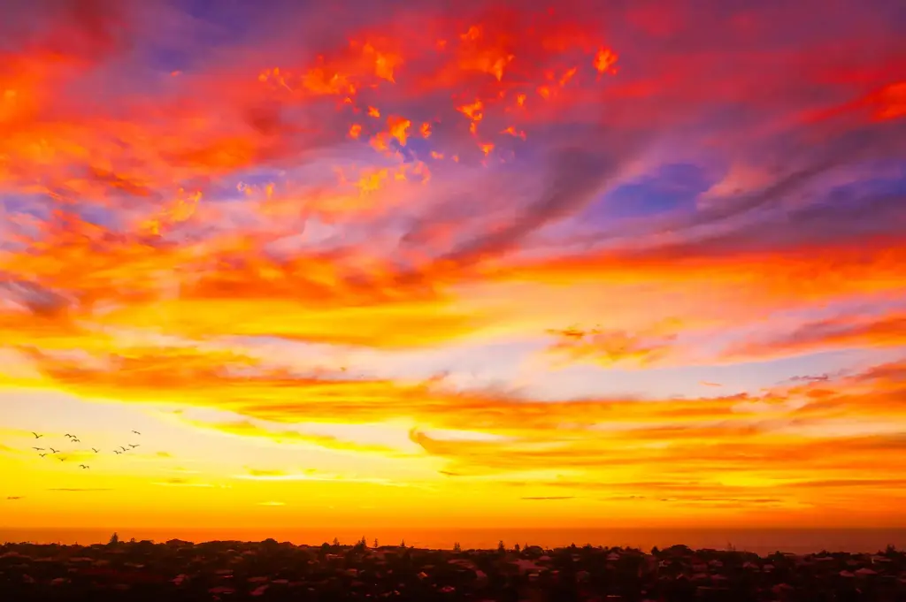 SUN0971 - Sunset for the Suburbs