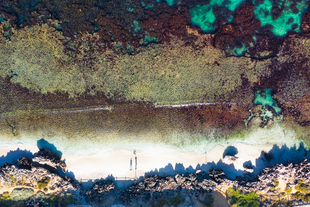 SUN0975 - Reef-tastic (Fine Art Print - Rolled, 45cm x 30cm)