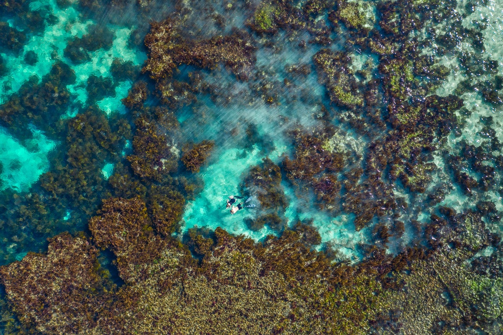 SUN0976 - Snorkeling Watermans (Fine Art Print - Rolled, 45 x 30cm)