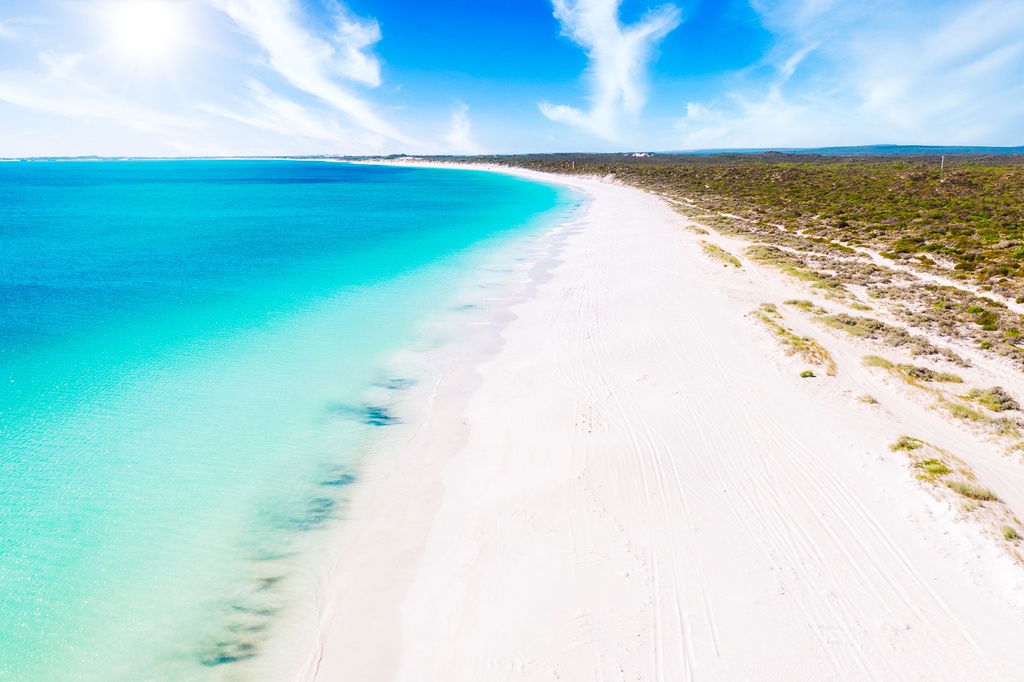 SUN0988 - Jurien White