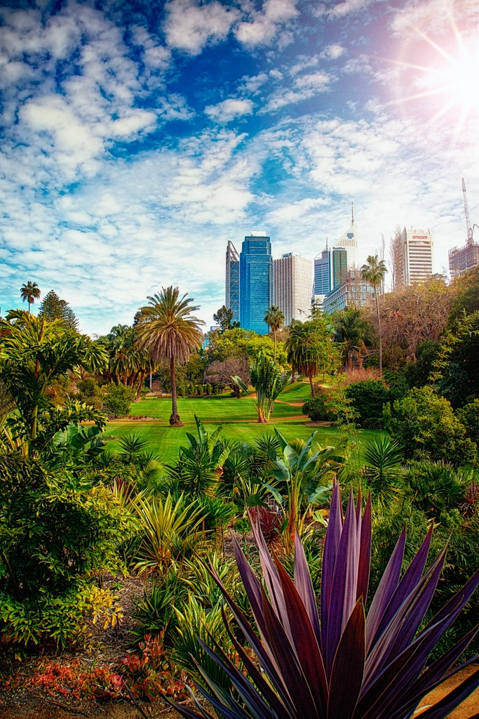 SUN0366 - Supreme Court Gardens (Fine Art Print - Rolled, 45cm x 30cm)