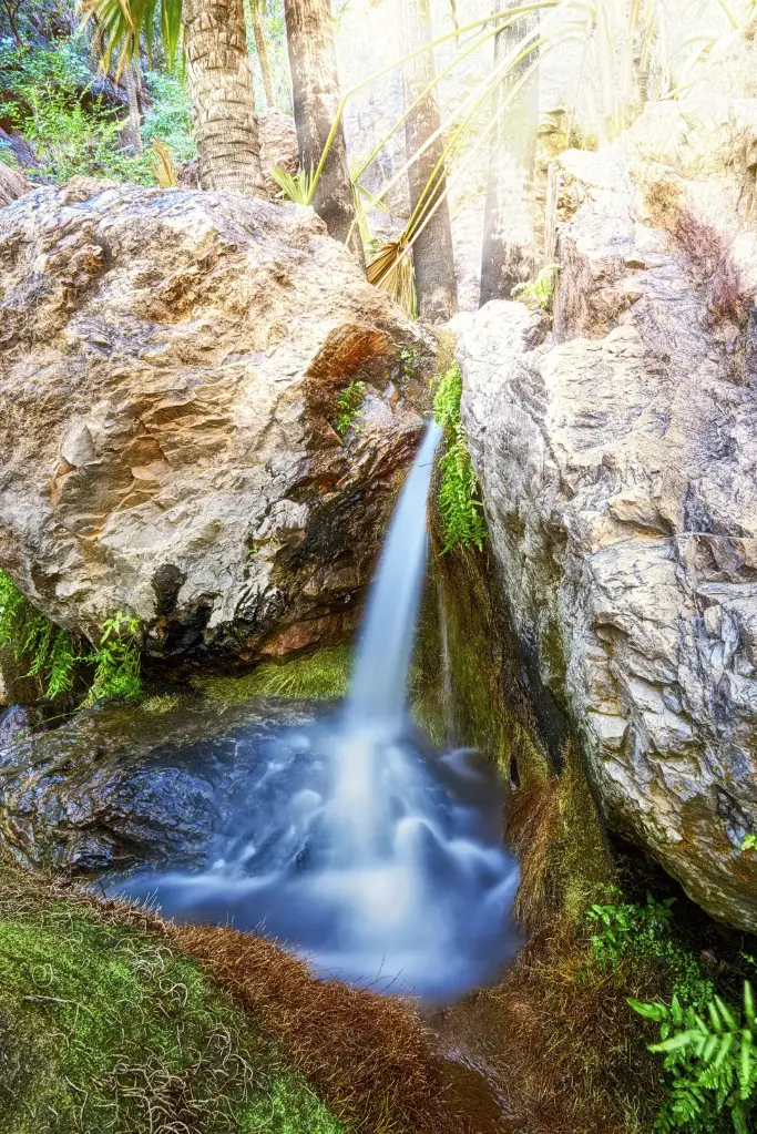 SUN0490 - Zebedee Springs Sun (Fine Art Print - Rolled, 45cm x 30cm)