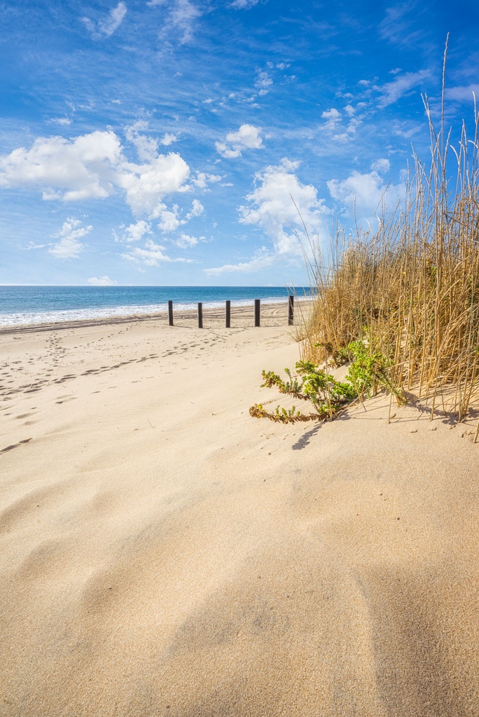 SUN0772 - Myalup Beach