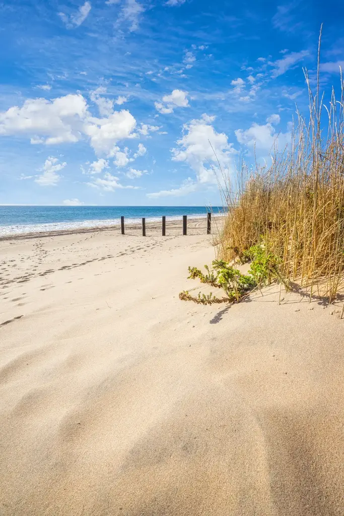 SUN0772 - Myalup Beach