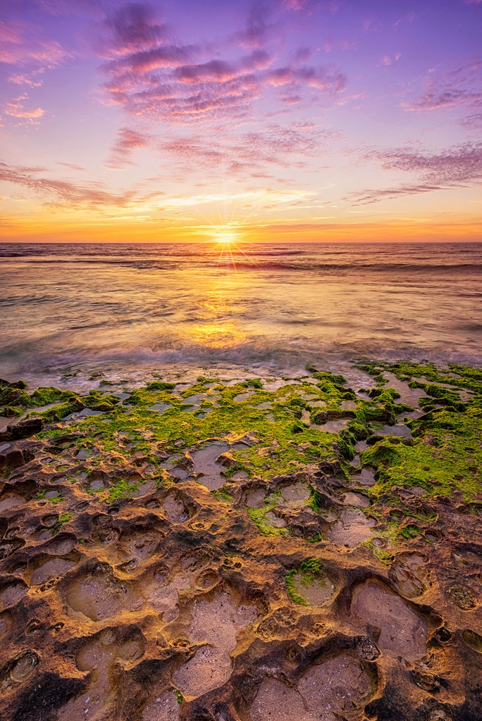 SUN0783 - Mettams Green