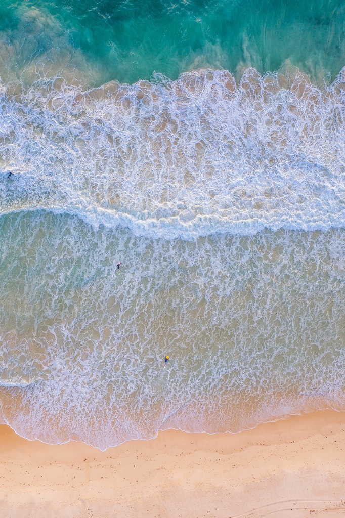 SUN0880 - Morning Struggles (Fine Art Print - Rolled, 45cm x 30cm)