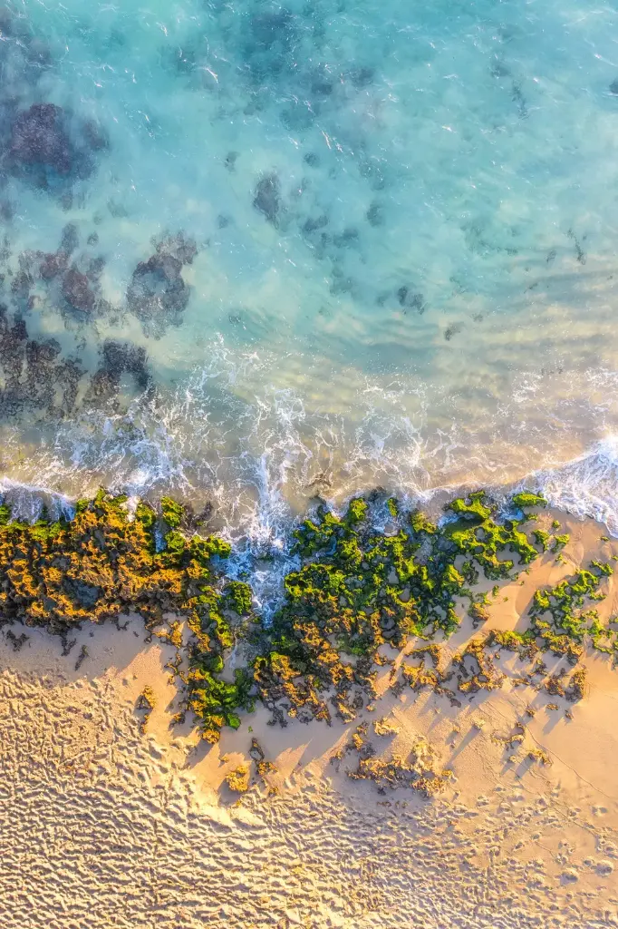 SUN0953 - Green Beach