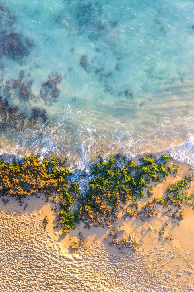 SUN0953 - Green Beach (Fine Art Print - Rolled, 45 x 30cm)