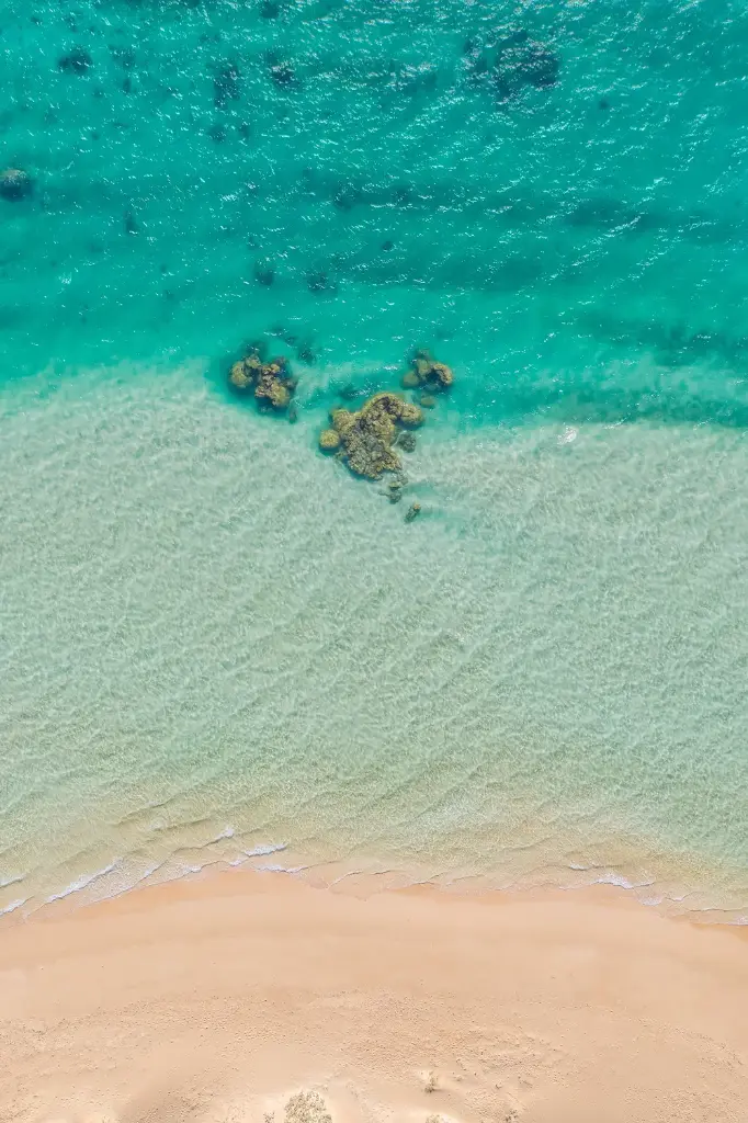 SUN0962 - Layer Cake