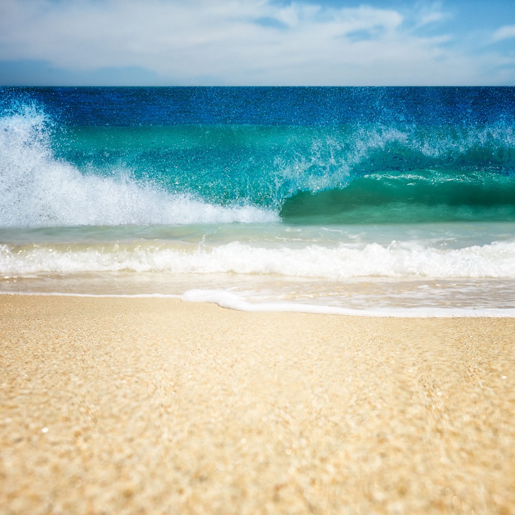 SUN0259 - Back Beach Wave (Fine Art Print - Rolled, 40cm x 40cm)