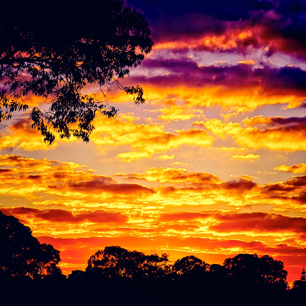 SUN0306 - Abbett Park Sunrise (Fine Art Print - Rolled, 40cm x 40cm)