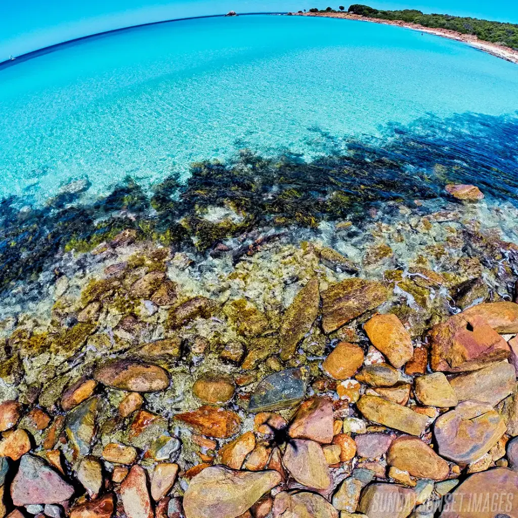 SUN0416 - Point Piquet