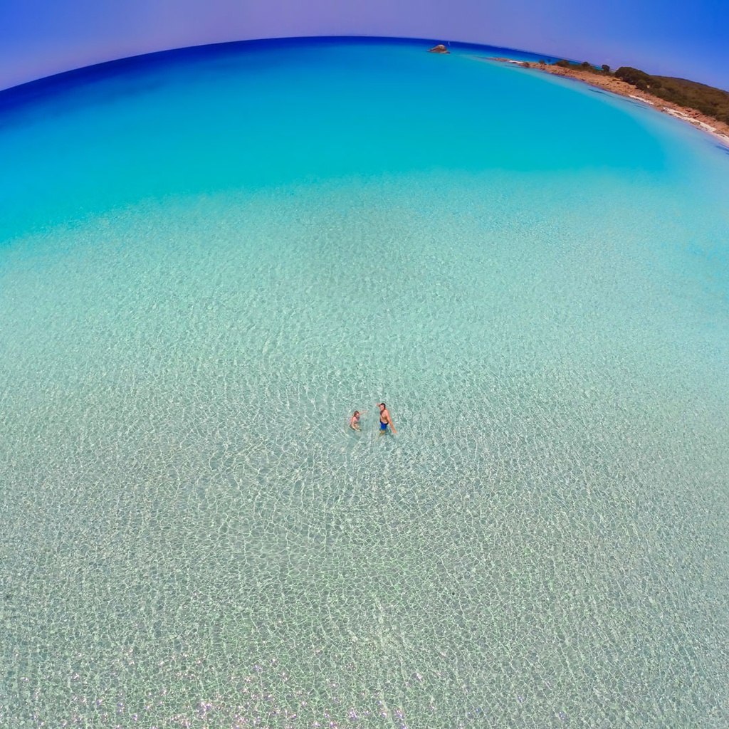 SUN0417 - Point Piquet (Fine Art Print - Rolled, 40cm x 40cm)