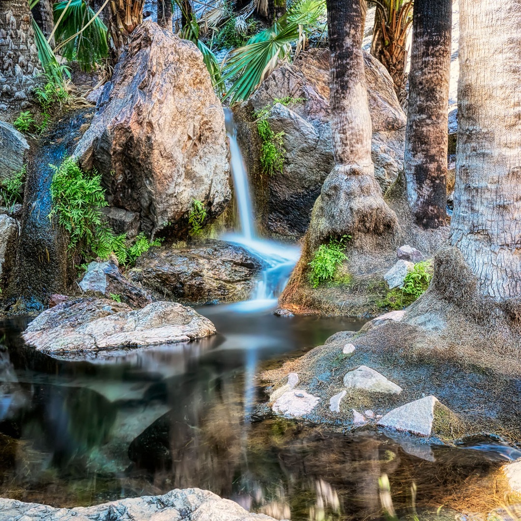 SUN0499 - Zebedee Springs