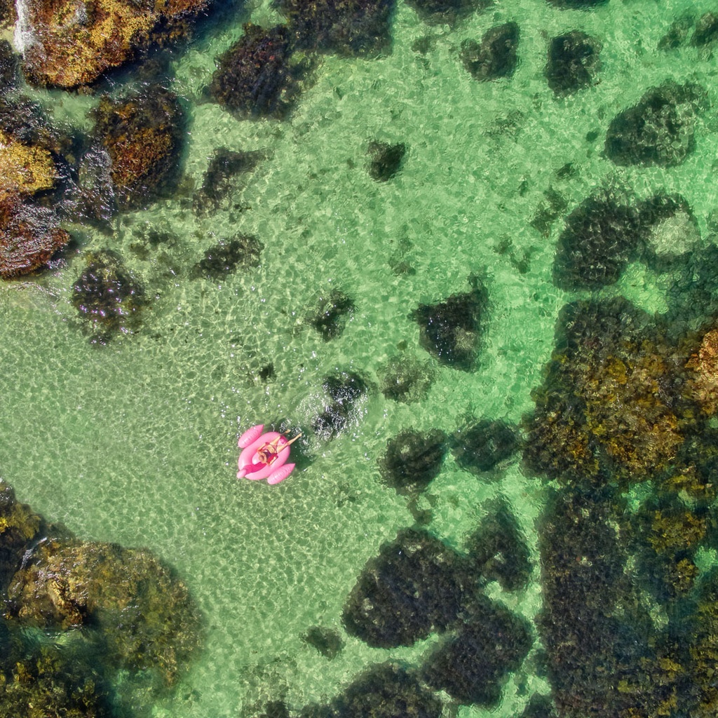 SUN0619 - Pink Flamingo (Fine Art Print - Rolled, 40 x 40cm)