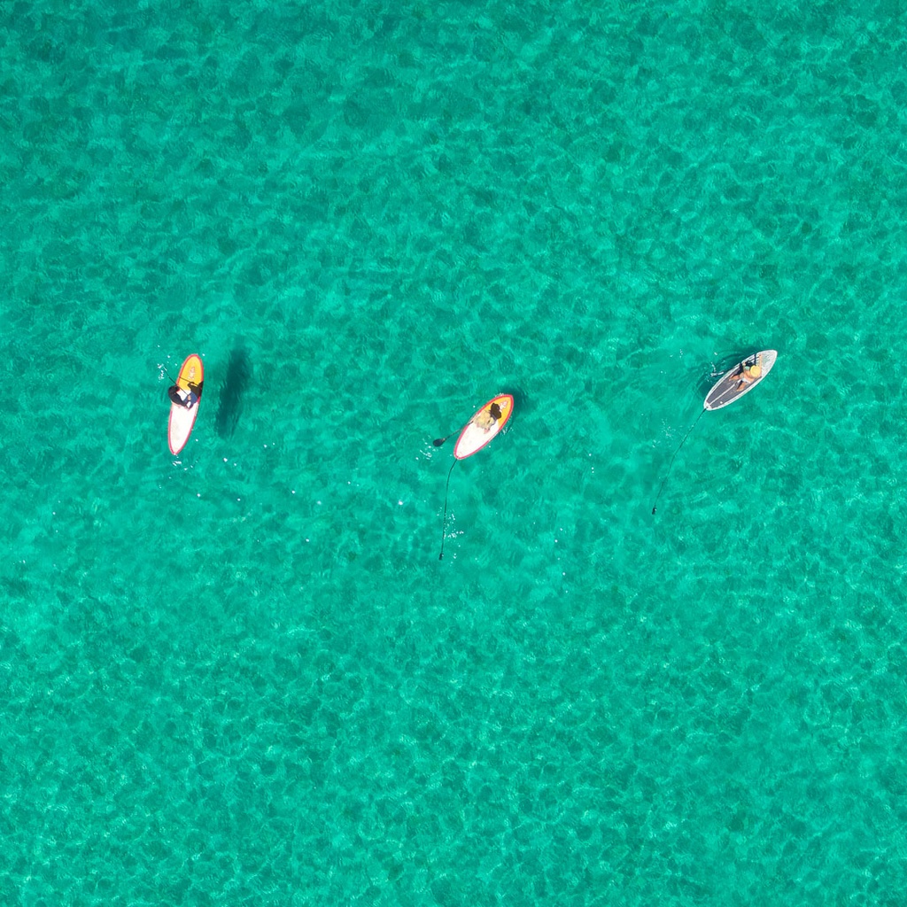 SUN0653 - Point Picquet SUP (Fine Art Print - Rolled, 40cm x 40cm)