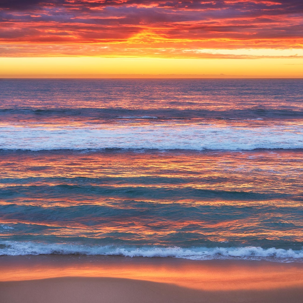 SUN0686 - Mettams Allsorts