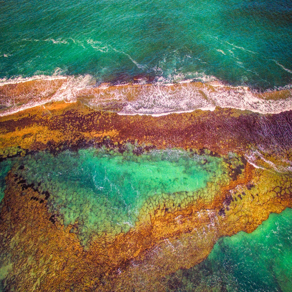 SUN0701 - Yanchep Heart