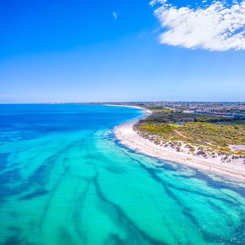 SUN0930 - Streaky Blinders