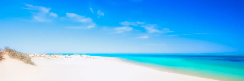 SUN0167 - Ned's Beach