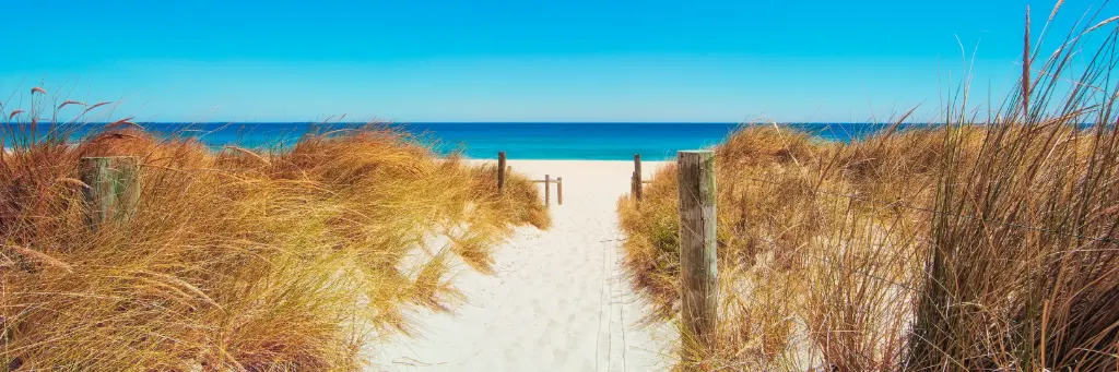 SUN0282 - Beach Path (Fine Art Print - Rolled, 60cm x 20cm)