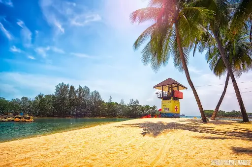 SUN0300 - Sentosa Beach