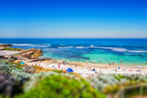 SUN0744 - Mini Mettams