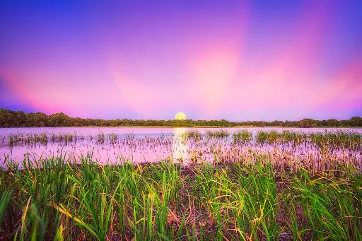 SUN0777 - Gwelup Moonrise