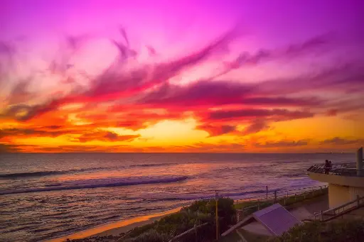 SUN0812 - Mettams Dragon