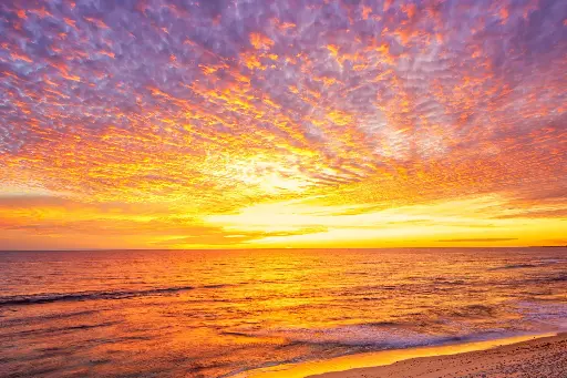 SUN0821 - Mettams Winter