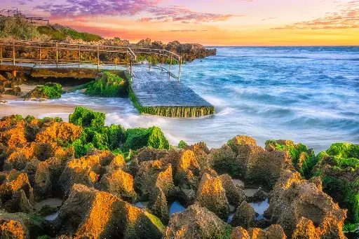 SUN0954 - Colourful Mettams