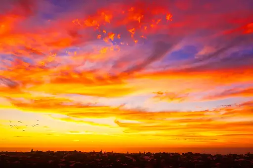 SUN0971 - Sunset for the Suburbs