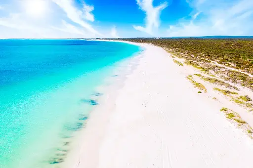 SUN0988 - Jurien White