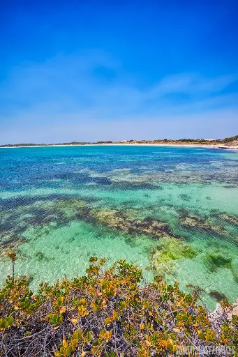SUN0638 - Coral Coast Snorkel