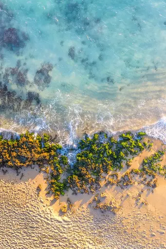 SUN0953 - Green Beach