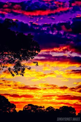 SUN0306 - Abbett Park Sunrise