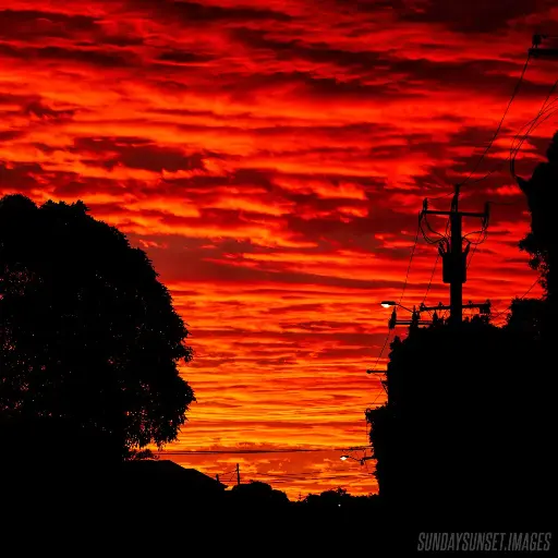 SUN0422 - Street Sunset